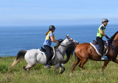 ENDURANCE -CEDFA - CREEF - 19-05-2024 MATIN