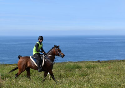 ENDURANCE -CEDFA - CREEF - 19-05-2024 MATIN