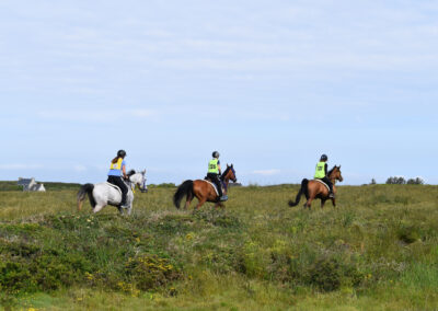 ENDURANCE -CEDFA - CREEF - 19-05-2024 MATIN