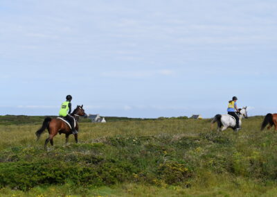 ENDURANCE -CEDFA - CREEF - 19-05-2024 MATIN