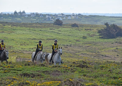 ENDURANCE -CEDFA - CREEF - 19-05-2024 MATIN