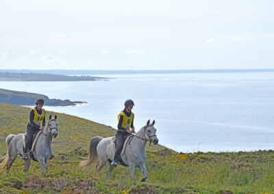 ENDURANCE -CEDFA - CREEF - 19-05-2024 MATIN