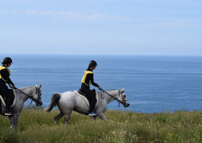 ENDURANCE -CEDFA - CREEF - 19-05-2024 MATIN