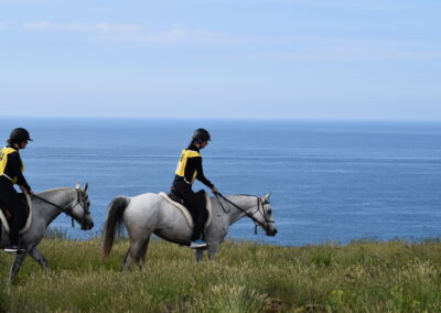 ENDURANCE -CEDFA - CREEF - 19-05-2024 MATIN