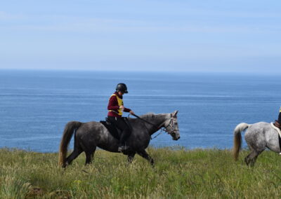 ENDURANCE -CEDFA - CREEF - 19-05-2024 MATIN