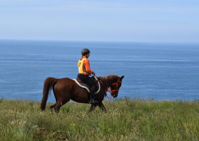 ENDURANCE -CEDFA - CREEF - 19-05-2024 MATIN