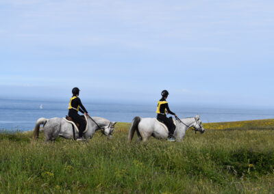 ENDURANCE -CEDFA - CREEF - 19-05-2024 MATIN