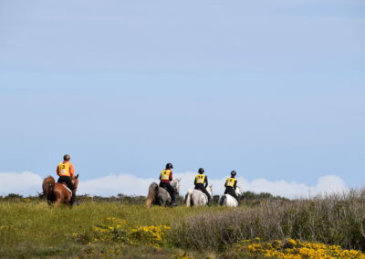 ENDURANCE -CEDFA - CREEF - 19-05-2024 MATIN