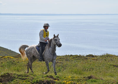 ENDURANCE -CEDFA - CREEF - 19-05-2024 MATIN