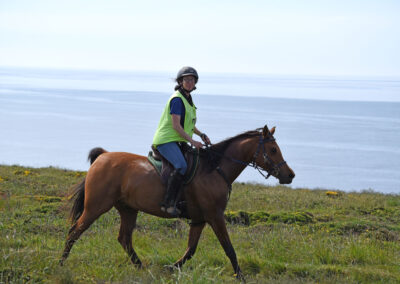 ENDURANCE -CEDFA - CREEF - 19-05-2024 MATIN