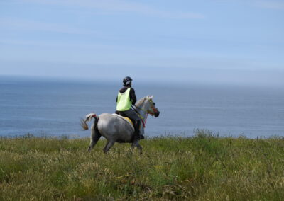 ENDURANCE -CEDFA - CREEF - 19-05-2024 MATIN