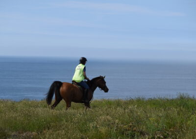 ENDURANCE -CEDFA - CREEF - 19-05-2024 MATIN