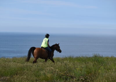 ENDURANCE -CEDFA - CREEF - 19-05-2024 MATIN