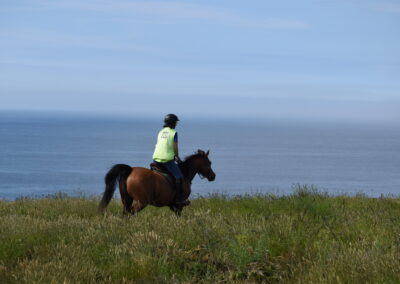 ENDURANCE -CEDFA - CREEF - 19-05-2024 MATIN