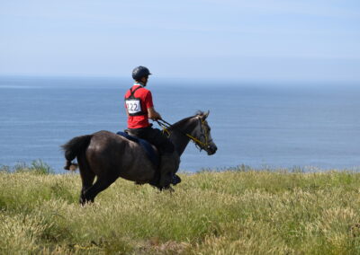 ENDURANCE -CEDFA - CREEF - 19-05-2024 MATIN