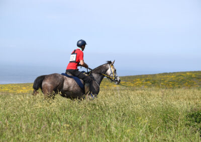 ENDURANCE -CEDFA - CREEF - 19-05-2024 MATIN