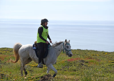 ENDURANCE -CEDFA - CREEF - 19-05-2024 MATIN