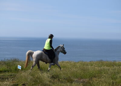 ENDURANCE -CEDFA - CREEF - 19-05-2024 MATIN