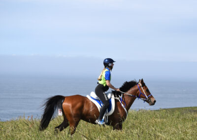 ENDURANCE -CEDFA - CREEF - 19-05-2024 MATIN