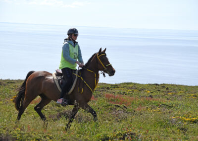 ENDURANCE -CEDFA - CREEF - 19-05-2024 MATIN