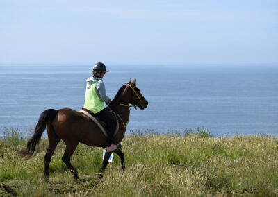 ENDURANCE -CEDFA - CREEF - 19-05-2024 MATIN