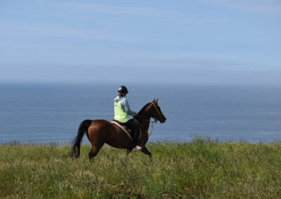 ENDURANCE -CEDFA - CREEF - 19-05-2024 MATIN