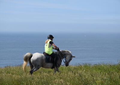 ENDURANCE -CEDFA - CREEF - 19-05-2024 MATIN