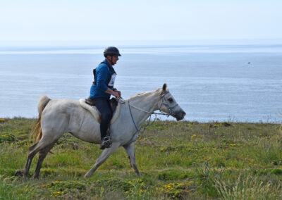 ENDURANCE -CEDFA - CREEF - 19-05-2024 MATIN