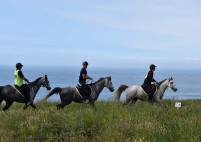 ENDURANCE -CEDFA - CREEF - 19-05-2024 MATIN