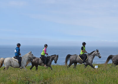 ENDURANCE -CEDFA - CREEF - 19-05-2024 MATIN