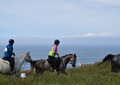 ENDURANCE -CEDFA - CREEF - 19-05-2024 MATIN