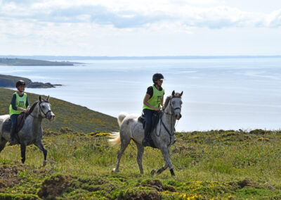 ENDURANCE -CEDFA - CREEF - 19-05-2024 MATIN