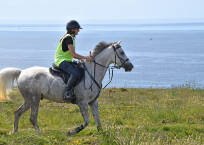 ENDURANCE -CEDFA - CREEF - 19-05-2024 MATIN