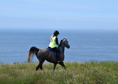 ENDURANCE -CEDFA - CREEF - 19-05-2024 MATIN