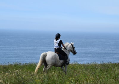 ENDURANCE -CEDFA - CREEF - 19-05-2024 MATIN