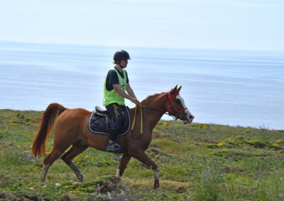 ENDURANCE -CEDFA - CREEF - 19-05-2024 MATIN