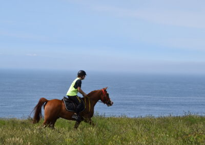 ENDURANCE -CEDFA - CREEF - 19-05-2024 MATIN