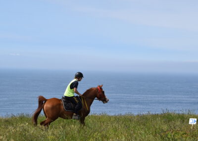 ENDURANCE -CEDFA - CREEF - 19-05-2024 MATIN