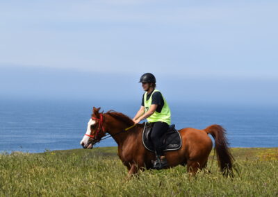 ENDURANCE -CEDFA - CREEF - 19-05-2024 MATIN