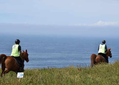 ENDURANCE -CEDFA - CREEF - 19-05-2024 MATIN