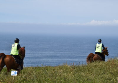 ENDURANCE -CEDFA - CREEF - 19-05-2024 MATIN