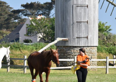 PODIUM ENDURANCE -CEDFA - CREEF - 19-05-2024