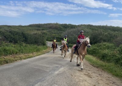 ENDURANCE -CEDFA - CREEF - 19-05-2024 tyludumati