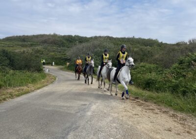 ENDURANCE -CEDFA - CREEF - 19-05-2024 tyludumatin