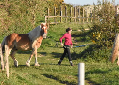 Endurance stage 11-04-2025 centre équestre Plogoff CEDFA