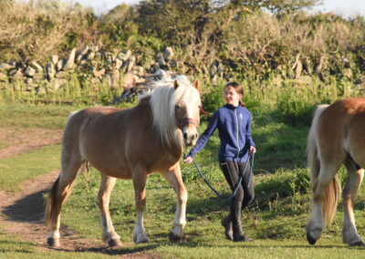 Endurance stage 11-04-2025 centre équestre Plogoff CEDFA