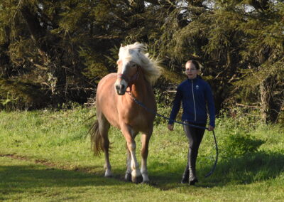 Endurance stage 11-04-2025 centre équestre Plogoff CEDFA