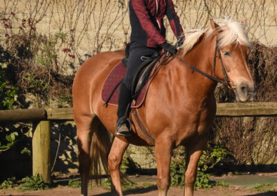 Endurance stage 11-04-2025 centre équestre Plogoff CEDFA