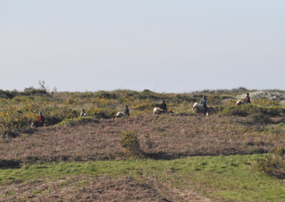 Endurance stage 11-04-2025 centre équestre Plogoff CEDFA
