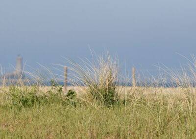 Endurance stage 11-04-2025